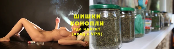 мдпв Михайловск
