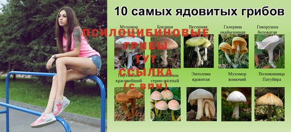 мдпв Михайловск