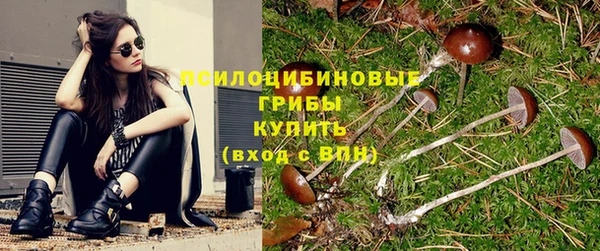 дурь Михайлов